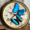 introverted-indigo avatar