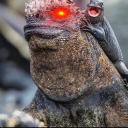 introvertedwanderer23 avatar