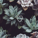 investigatinglove avatar