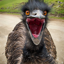 invisible-ghostie avatar