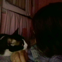 invisiblegirlbloguniverse avatar