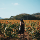 invisiblemurderer avatar