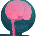 invitro-invivo avatar