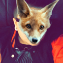 iobviouslyhavenoideawhatimdoing avatar