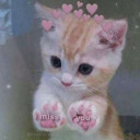 ionevenknomane avatar