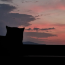 ionutcristiann avatar