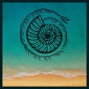 ipanicatmorethanjustthedisco avatar