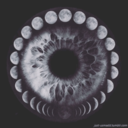 ipassf0rhuman avatar