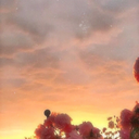 iphone-wall-papers avatar