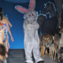 iphoneskateboards avatar