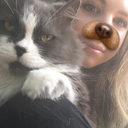 ipickedmypoison avatar