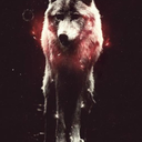 iplayoufollow avatar