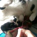 iplaywithstring avatar