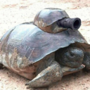 ipostfunnystuff-blog avatar