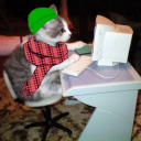 ipoststuffhereiguess avatar