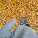 ipotesi-controversa avatar