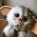 irasciblemogwai avatar