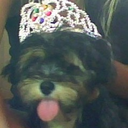 irasistible-blog avatar