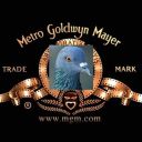 iratemoviesdependingonpigeons avatar