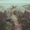 irbelle15-blog avatar