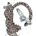 irbisass avatar