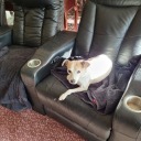 ireallydontwantablogdammit avatar