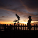 irenejessiren avatar