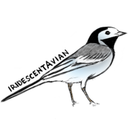 iridescentavian avatar