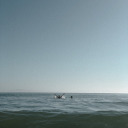 iridescentmoondigger avatar