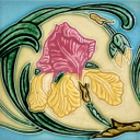 iris-collects-colours avatar