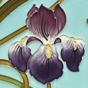 iris-collects-plants avatar