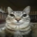 iris-ofthe-sun avatar