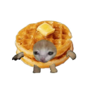 irish-waffle avatar