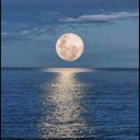 irish4959-blog avatar