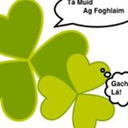 irishlanguagelearners avatar