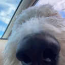 irlrowory avatar