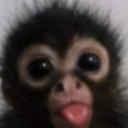 iron-student-wonderlands-things avatar