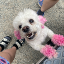 ironicallyhetero avatar