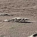 ironicallyspiritual avatar