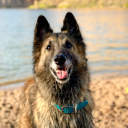 ironicinsomniak avatar