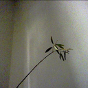 ironiclifeasahuman-blog avatar