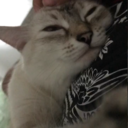 irony-that-heals avatar