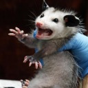 ironynoticony avatar