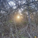 irradiatedhighways avatar