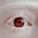 irrational-anthropocentrism avatar