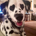 irrational-but-wonderful avatar