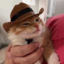 irrelevantcailin avatar