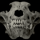 irvineandsaix avatar