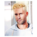 is-aboutmaroon5 avatar