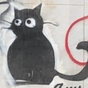 is-the-fire-real avatar